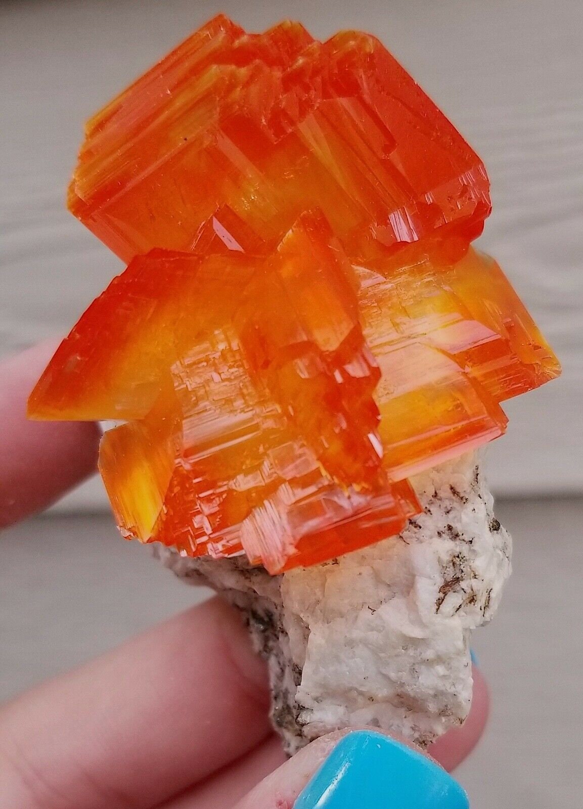 orange gems wow