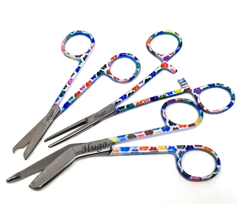 Peut inclure: Ensemble de cinq instruments chirurgicaux en acier inoxydable avec des poign&eacute;es &agrave; motifs floraux color&eacute;s. Chaque instrument porte le nom "Hugo" grav&eacute;. Les poign&eacute;es pr&eacute;sentent un m&eacute;lange de motifs floraux bleus, rouges, jaunes et verts.