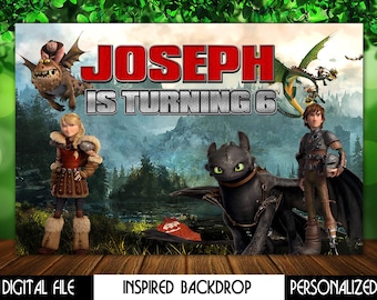 How Train Your Dragon Backdrop, Hiccup Birthday Decoration, Viking Party, Personalized, Digital File