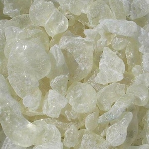 Larmes de gomme de mastic de Chios : résine naturelle de mastiha - Récolte 2025