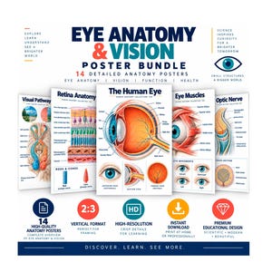 Könnte beinhalten: Ein digitales Poster-Set mit dem Titel EYE ANATOMY & VISION, das 14 detaillierte Lehrtafeln enthält. Die Sammlung umfasst Diagramme des menschlichen Auges, der Netzhaut, der Muskeln und des Sehnervs mit Beschriftungen, farbigen Illustrationen und Text.