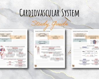 Cardiovascular System | TEAS Review | 3 Page Study Guide