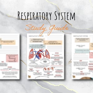 Respiratory System | TEAS Review | 3 Page Study Guide