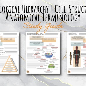 Biologisk hierarki | Cellstruktur | Anatomisk terminologi | TEAS-recension | 3-sidig studieguide
