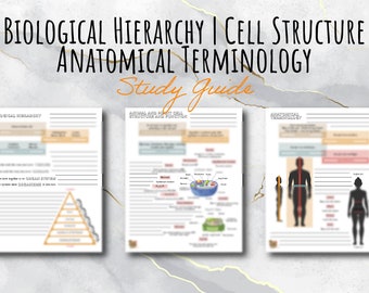 Biological Hierarchy | Cell Structure | Anatomical Terminology | TEAS Review | 3 Page Study Guide