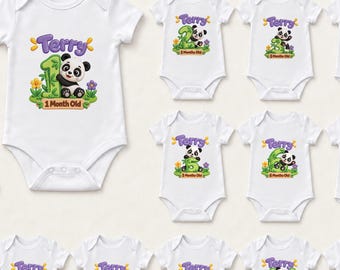 Conjunto de body personalizado para bebés con estampado de pandas para cada mes, chalecos de 12 piezas con estampado de pandas para bebés de 1 a 12 meses, conjunto personalizado con nombre y foto del primer año con estampado de pandas.