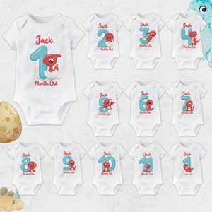 Dinosaur Baby Monthly Milestone Bodys personalizados, traje de bebé personalizado dinosaurio, chaleco de bebé dinosaurio