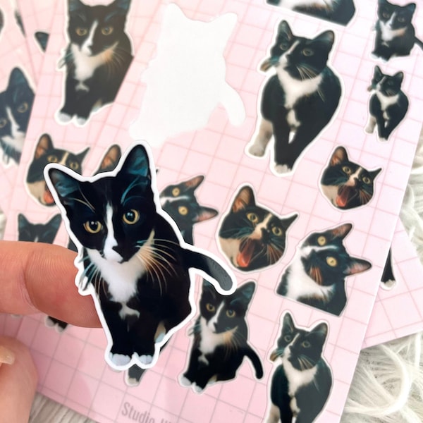 3 Custom Pet Sticker Sheets - personalized stickers - water-resistant/glossy coat - phone, laptop stickers/great for gifts!