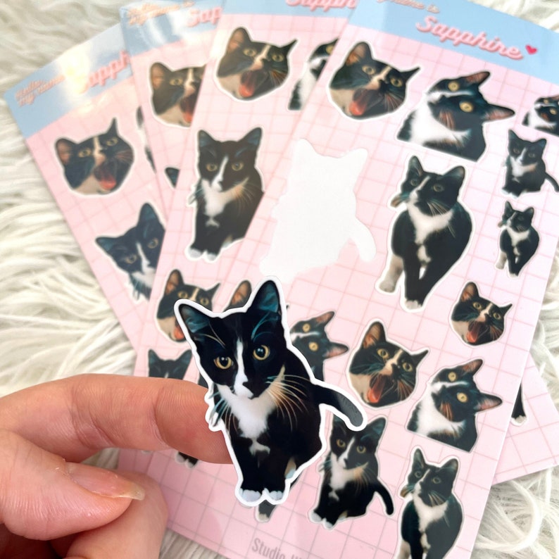 以下が含まれることがあります： 黒と白のタキシード猫の様々なポーズや表情が描かれた、ダイカットステッカーが複数並ぶステッカーシート。シートの背景は薄いピンク色のグリッドパターンで、上部には「Name is Sapphire」というテキストが印刷されています。
