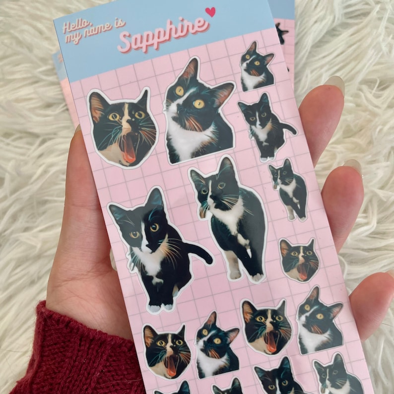 以下が含まれることがあります： 薄いピンク色のグリッド背景に「Hello, my name is Sapphire」というテキストが上部に印刷された長方形のステッカーシート。シートには、さまざまなポーズや表情をした白黒の猫のダイカットステッカーが複数含まれています。