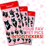 Dog Stickers