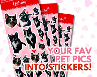 3 Custom Pet Sticker Sheets - Personalized Water-Resistant Stickers