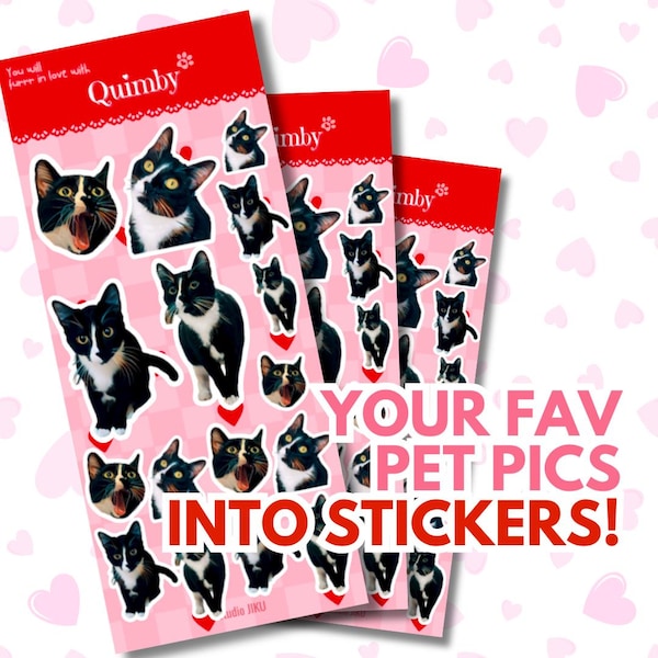 3 Custom Pet Sticker Sheets - Personalized Water-Resistant Stickers