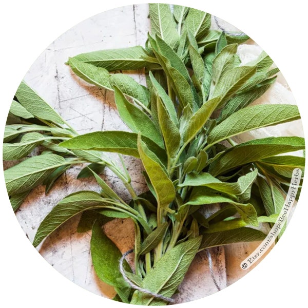 SAGE | ORGANIC | Salvia officinalis | Dried leaves | Common Sage | Culinary Herb