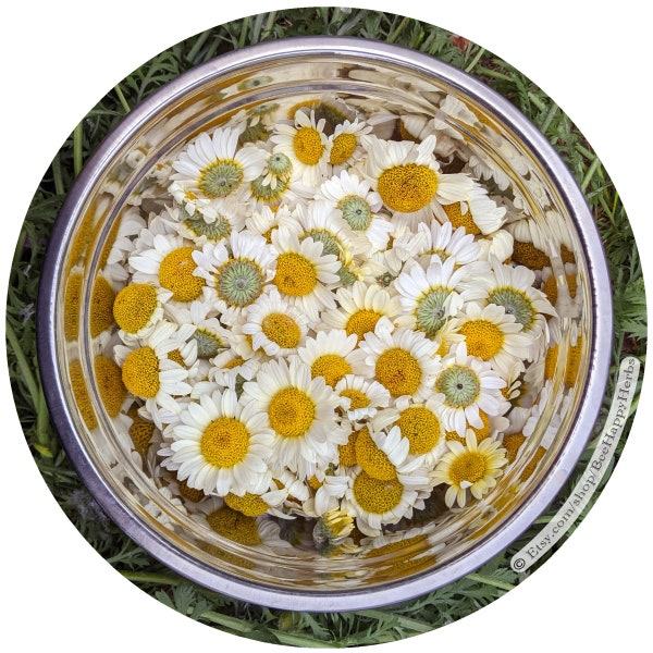 CHAMOMILE | ORGANIC | Dried  Flowers | Matricaria chamomilla | Herbal Tea + Floral Culinary Herb