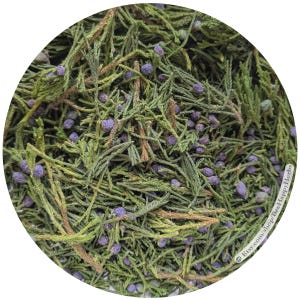 May include: A collection of dried green juniper needles and small, round, purple-toned berries. The plant material is densely packed, showing a mix of textured, needle-like foliage and numerous small fruits. Text reads: Etsy.com/shop/BeeHappyHerbs.