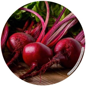 BEETS Detroit Dark Red | ORGANIC Beta vulgaris seeds | heirloom organic nonGMO easy to grow food gardening cool season root vegetable seed
