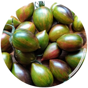 May include: A close-up of a group of green, red, and black striped tomatoes. The tomatoes are arranged on a wooden surface. The tomatoes are all about the same size and shape, and they have a glossy finish.