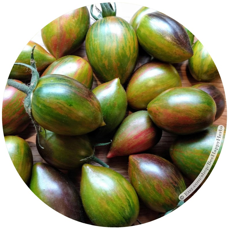 TOMATO Brad's Atomic Grape ORGANIC Seeds Rare Unique Etsy