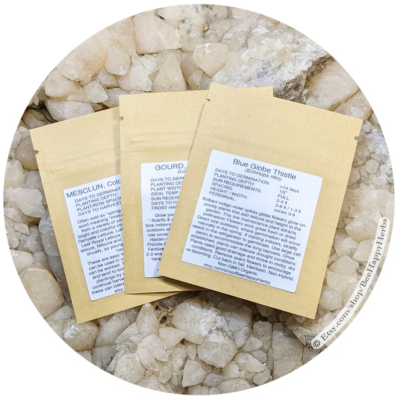 HOLLYHOCK Peaches & Cream ORGANIC Seeds Alcea Rosea Rare Etsy