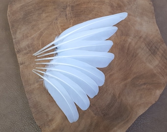 Plumas especiales de ala de paloma blanca pura / Boda / Ramillete / Paz / Procedente éticamente de muda natural