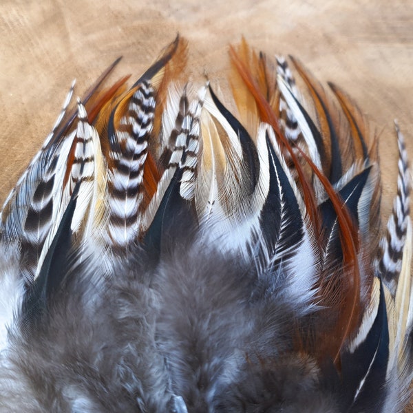 Lot de 30 selles de grizzli pour coq | mélange spécial de plumes | Mue naturelle, sans cruauté animale