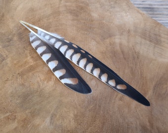 Rare American kestrel wing feathers | tropical brown striped | Ethically sourced from natural molt