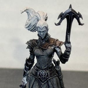 May include: A detailed miniature figurine of a female warrior in a dark grey colour scheme. The figure is holding a crossbow and a stylised weapon. The base is a circular shape with a textured surface. The warrior has long, flowing white hair.