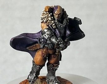 Minsc (and Boo)/ human ranger DND Resin, 28mm Scale Dungeons & Dragons, Pathfinder Tabletop Miniature