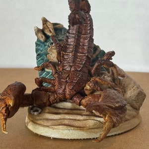 May include: A brown ceramic scorpion figurine with a detailed textured surface. The scorpion is posed with its tail raised and its claws extended. The figurine is sitting on a base that is decorated with a sandy texture.