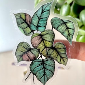 Philodendron Vinyl Waterproof Sticker | Aesthetic Stickers | Vinyl Sticker | Laptop Stickers | Plant Stickers | Stickers for Hydroflask