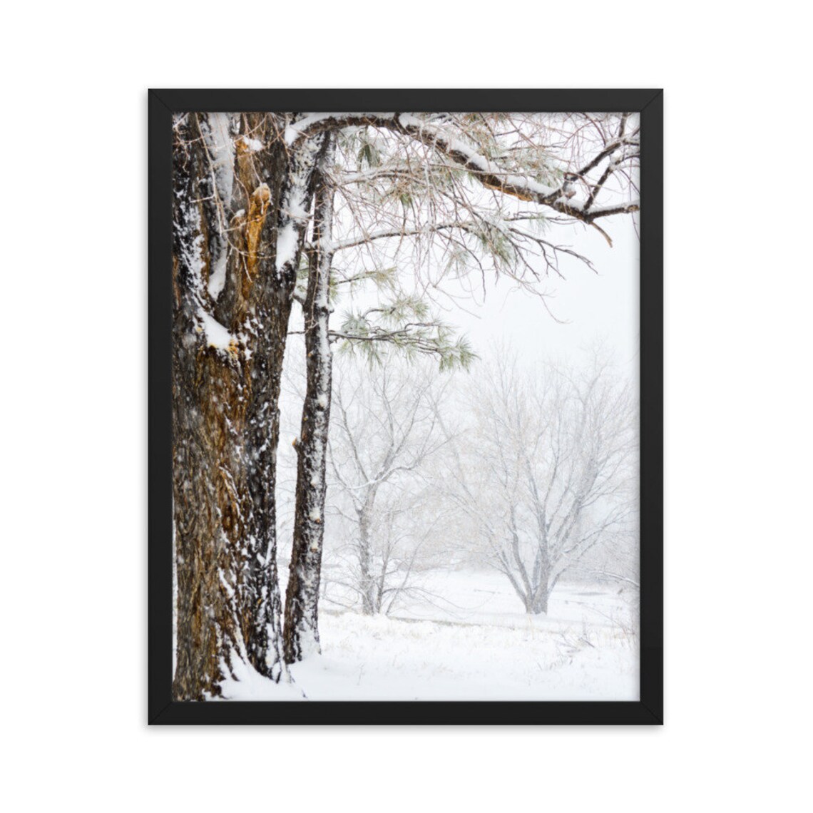 Framed Winter Trees Print | Etsy