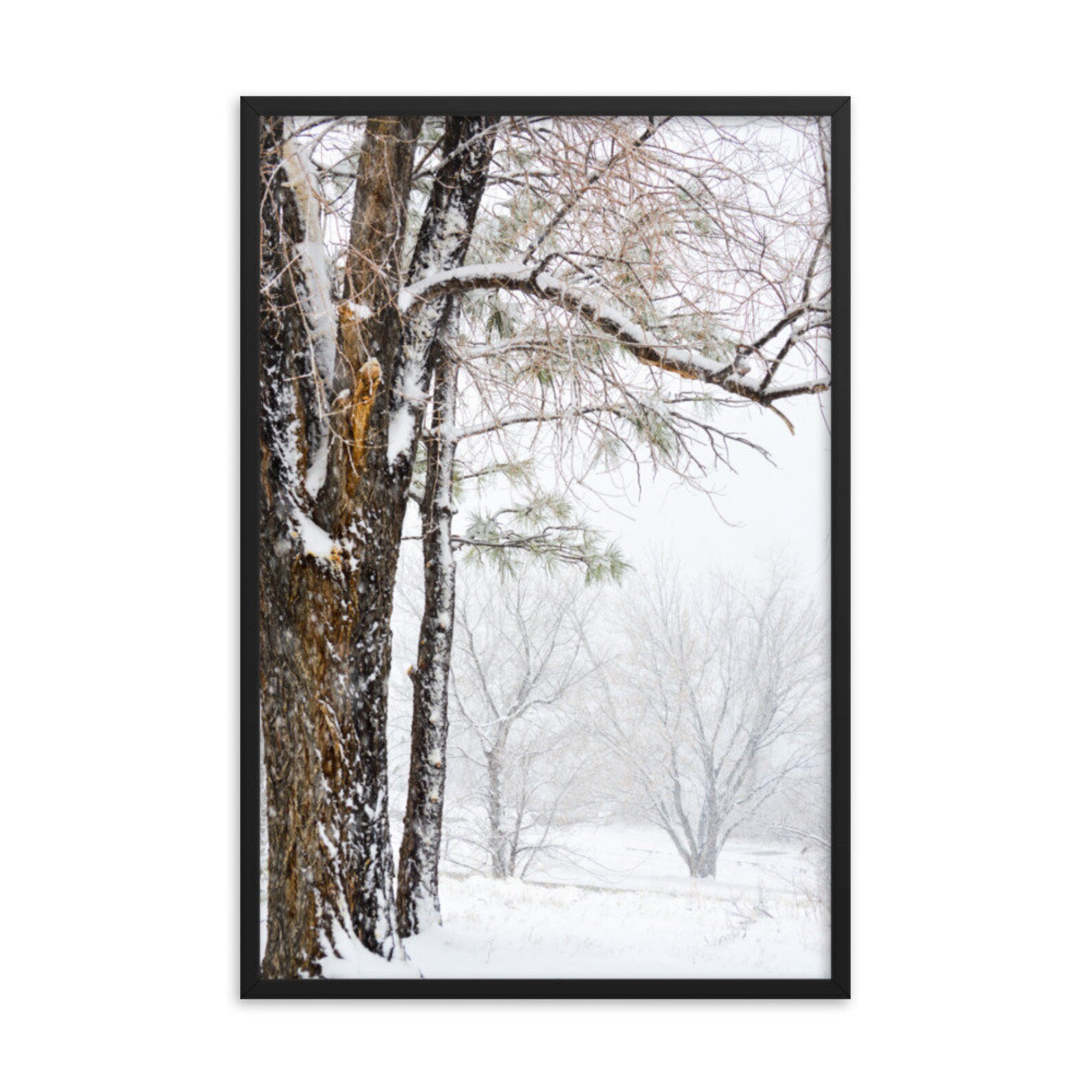 Framed Winter Trees Print Etsy
