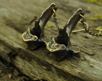 Solid bronze vertebrae earrings