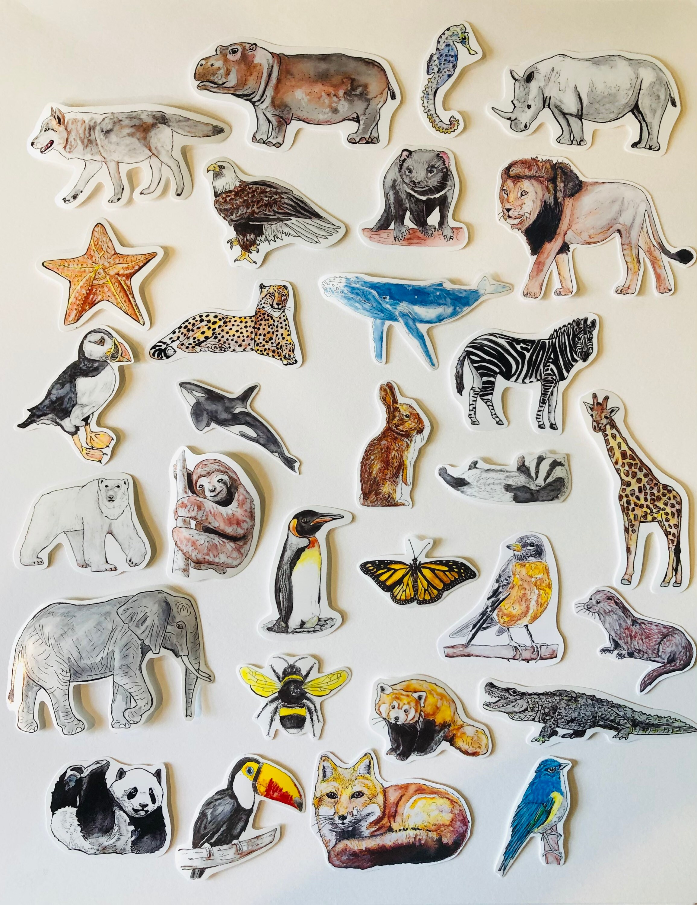 Wild Animal Sticker Pack.handmade Artwork,collectible Animal Stickers ...