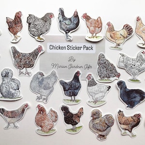 Chicken Sticker Pack-Watercolor Artwork. Collectible Stickers.Planner,Vinyl Laptop Sticker,Farm Stickers,Journals,Chicken lover gift,decals