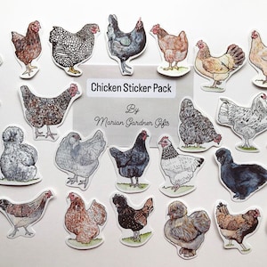 Pack d'autocollants de poulet - oeuvre d'art aquarelle. Stickers à collectionner. Agenda, autocollant en vinyle pour ordinateur portable, autocollants de ferme, journaux intimes, cadeau pour amateur de poulet, décalcomanies