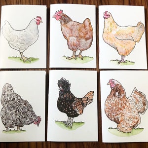 Tarjetas de felicitación de pollo. Hechas a mano/tarjeta de notas/regalo para amantes de los pollos/amantes de la granja/amantes de los animales/tarjeta de pronta recuperación/tarjeta de cumpleaños/impresión artística/pollitos