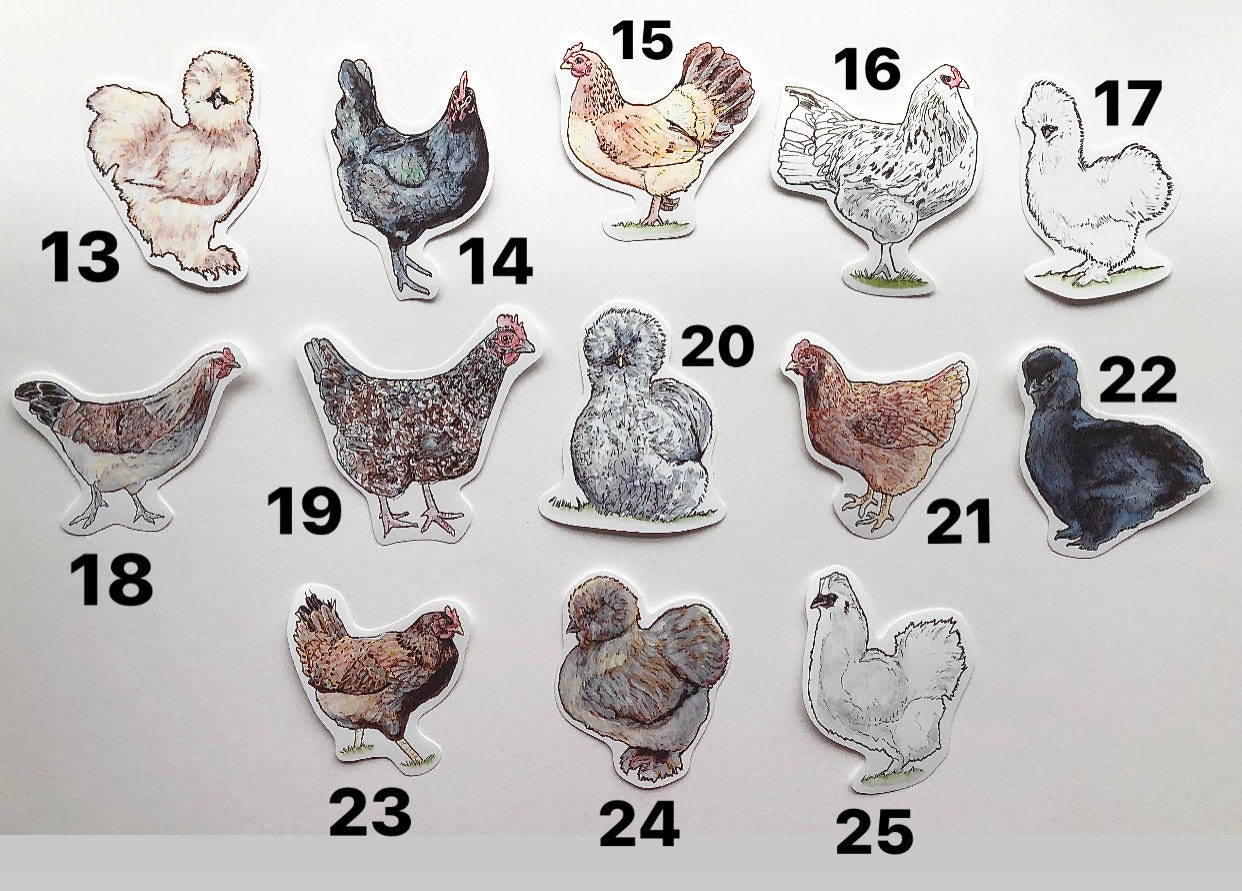 Chicken Sticker Pack-watercolor Artwork. Collectible Stickers.planner ...