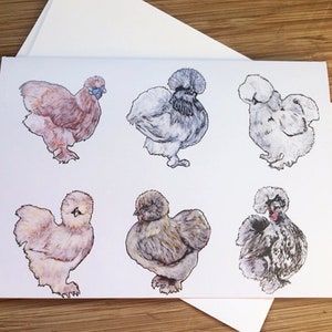 Carte de voeux de poulet Silkie. Fait main, carte de correspondance, amateur de poulet, cadeau pour amoureux de la ferme, amoureux des animaux, carte de rétablissement, carte d'anniversaire, impression d'art, 4H