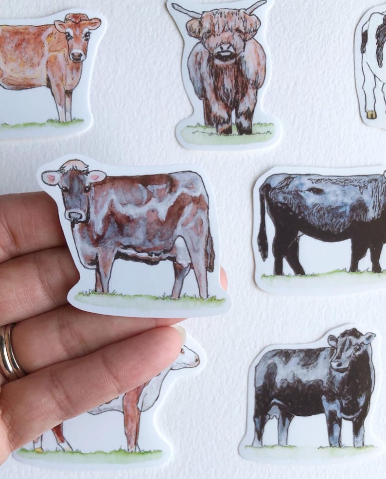 Cow Sticker Pack.handmade Artwork. Collectible Cow Stickers. Laptop ...