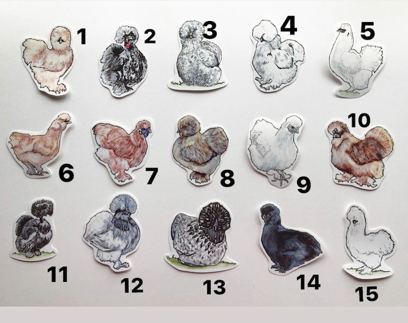 Silkie Chicken Sticker Pack-watercolor Art. Collectible Stickers ...