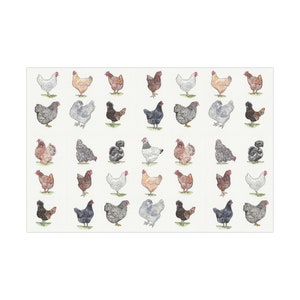 Chicken Gift Wrap Paper-crazy Chicken Lady,chicken Lover,farm Animal,4h ...