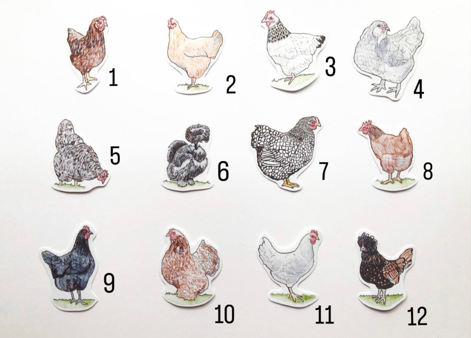 Chicken Sticker Pack-watercolor Artwork. Collectible Stickers.planner ...