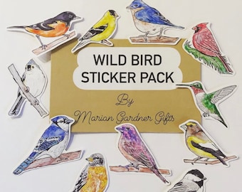 Pacchetto di adesivi di uccelli selvatici. Adesivi fatti a mano, opere d'arte, adesivi di uccelli da collezione, adesivi per laptop, collage, diari, scrapbooking, regalo per gli amanti degli uccelli, decalcomanie