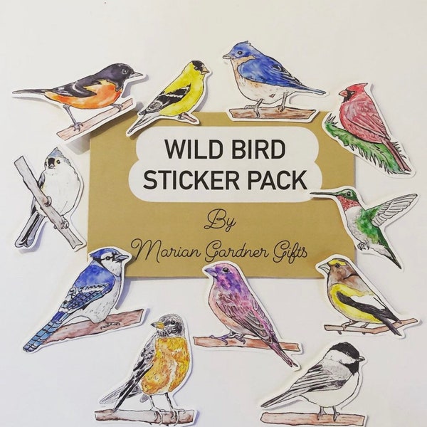 Wild Bird Sticker Pack-Handmade|Artwork|Collectible Bird Stickers|Laptop Sticker|collage|Journals|Scrapbooking|bird lover gift|decals