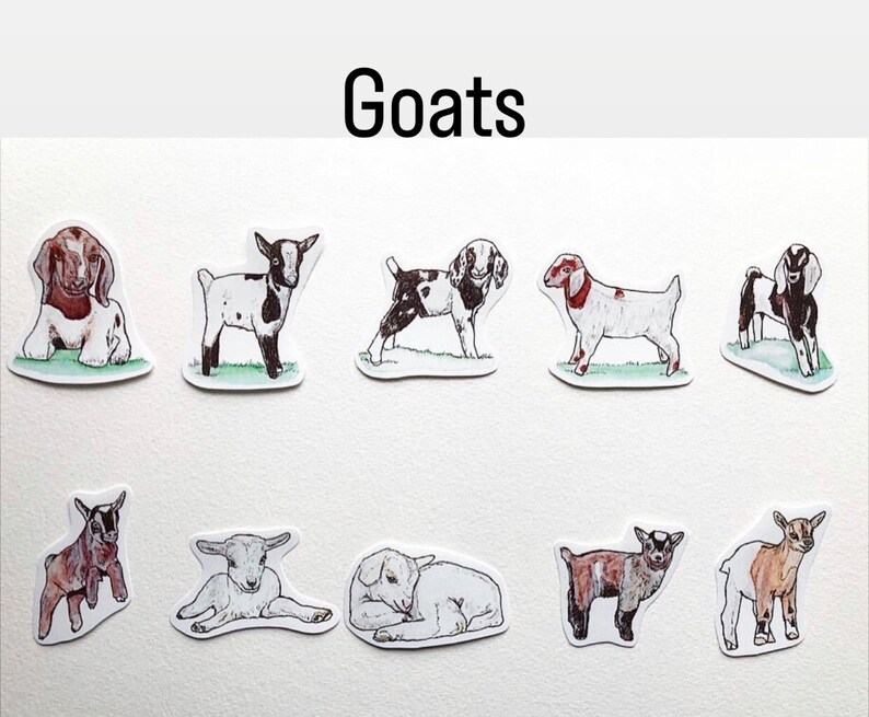 Farm Animal Sticker Pack-handmade Artwork.collectible Stickers. Laptop ...
