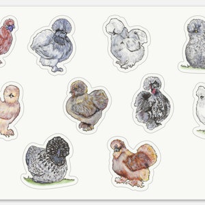 Vinyl stickervel Silkie kip. Cadeau zijdehoenders, sticker kip, laptopstickers, tijdschriften, scrapbooking, zijdehoenders, sticker, cadeau zijde zijdeliefhebber, 4 uur