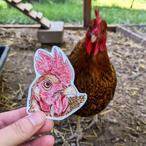 Chicken Sticker Pack-watercolor Artwork. Collectible Stickers.planner ...