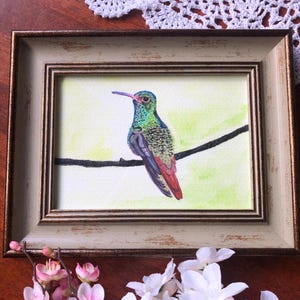 Framed Original Hummingbird Watercolor Painting: Nature Wall Art